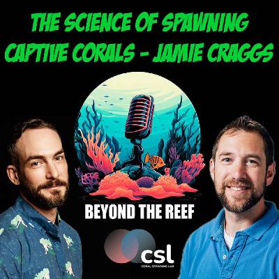 Captive Coral Spawning - Dr. Jamie Craggs