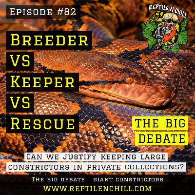 Can we justify keeping large constrictors? - 82 Reptile n Chill Can we justify keeping large constrictors? - 82 Reptile n Chill