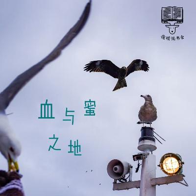 Vol 107. 当历史不肯过去,记忆留给普通人的还剩什么|刘子超《血与蜜之地》 Vol 107. 当历史不肯过去,记忆留给普通人的还剩什么|刘子超《血与蜜之地》