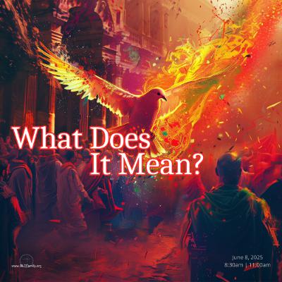 What Does it Mean? What Does it Mean?