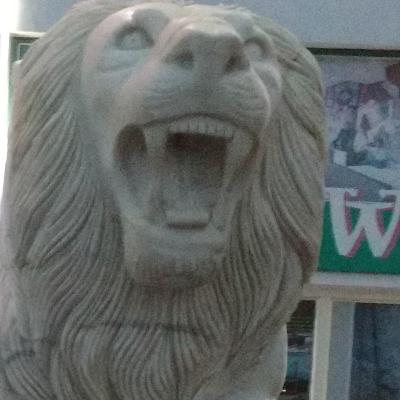 Mowgli fights Sher Khan