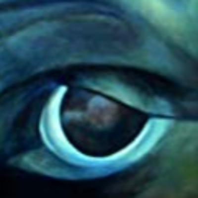 Биоцентричность. Про самообеспечение, простую жизнь и права "нелюдей".