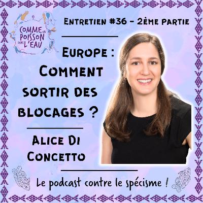 #36 Europe : comment sortir des blocages ? - Alice Di Concetto (2/2)