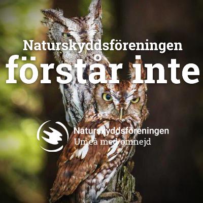 Bilar i staden, Storgatan och ringleden. Bilar i staden, Storgatan och ringleden.