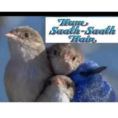 Ham Sath- Sath Hai ( Kkk09 )