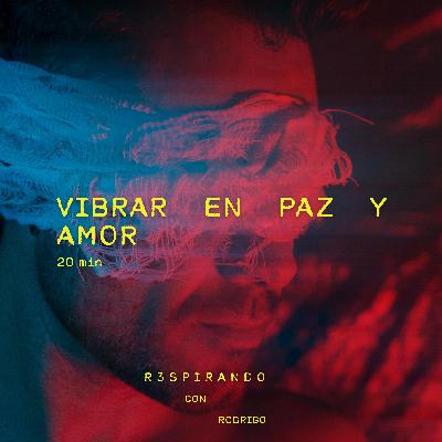 Vibra en Paz y Amor - Una Revolución Interior
