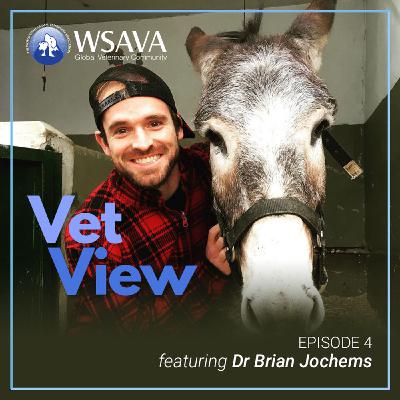 Ep 4. In home euthanasia: working as a mobile veterinarian