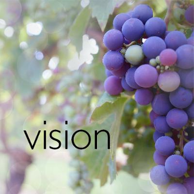 [Vision]: Doing what Jesus did