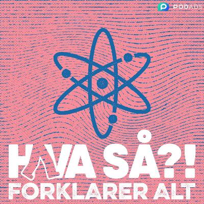 Hva så?! forklarer alt - Fra bismut til alkymister