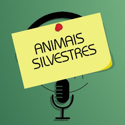 Memorando 1: Animais Silvestres Memorando 1: Animais Silvestres