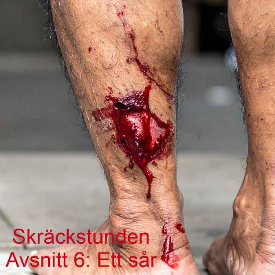 6. Ett sår