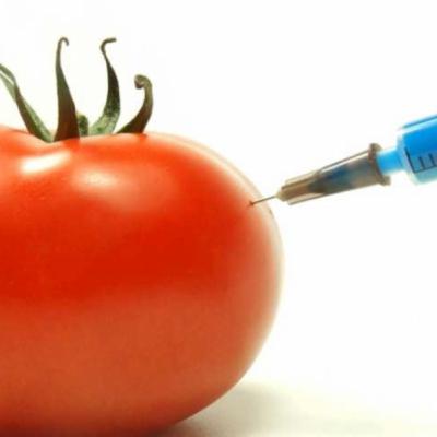 GMO PSA- Sara Blair