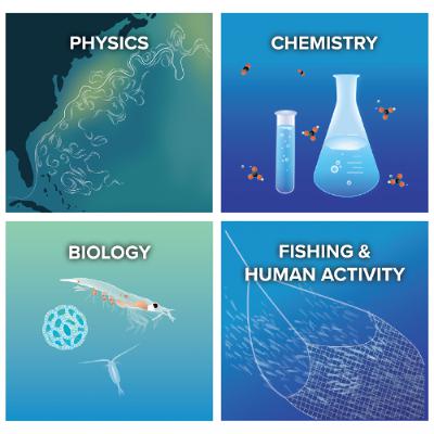 Understand the WHOI loc-ness project