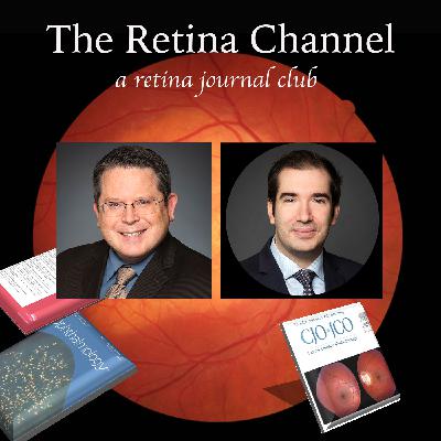 E91- Inherited Retinal Disorders- Progress Promise and Lessons— Dr. Ioannis Dimopoulos E91- Inherited Retinal Disorders- Progress Promise and Lessons— Dr. Ioannis Dimopoulos