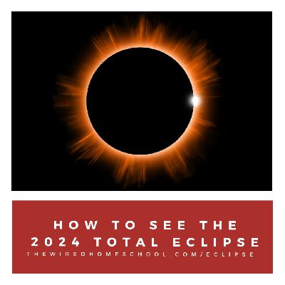 How to View the 2024 Total Solar Eclipse How to View the 2024 Total Solar Eclipse