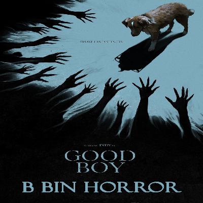 Good Boy