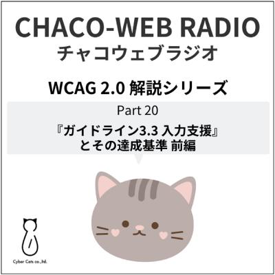 #38 WCAG 2.0 解説シリーズPart20「『ガイドライン3.3 入力支援』とその達成基準 前編」