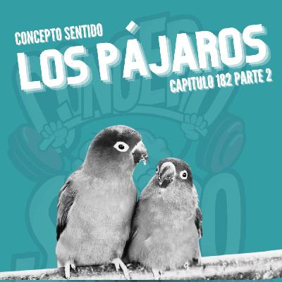 Concepto 182 |   LOS PÁJAROS (Parte 2)