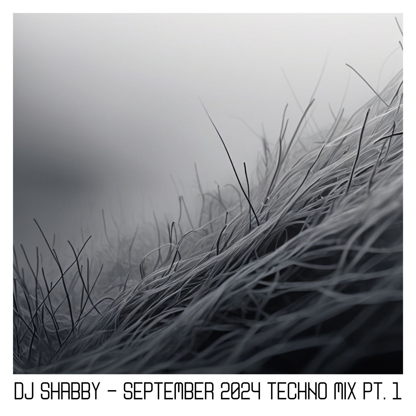 dj Shabby - September 2024 Techno Mix pt. 1 episode artwork