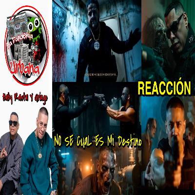 Baby Rasta y Gringo - No se cual es mi destino (REACCIÓN) || OTRO PALO NUEVAMENTE DE LOS LOBOS