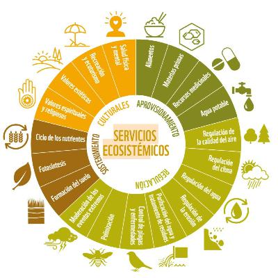 Identificación y caracterización de los espacios de uso