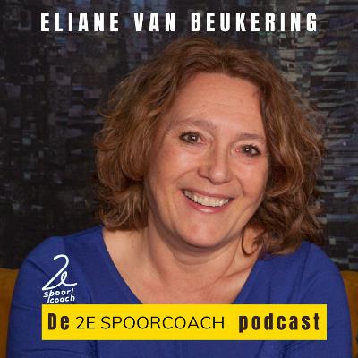 #40 - Caroline Besseling - Juridische en persoonlijke ondersteuning bij ontslag voor medewerkers