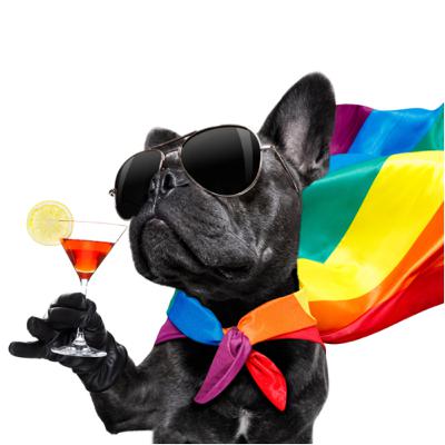 EPISODE 22: Wait...Eric isn't even GAY??