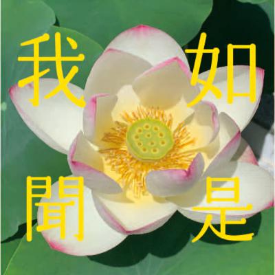＃23 「彼岸は悲願」（秋季彼岸会）