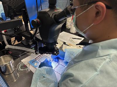 Des supports bioniques pour la microchirurgie et la recherche pharmaceutique Des supports bioniques pour la microchirurgie et la recherche pharmaceutique