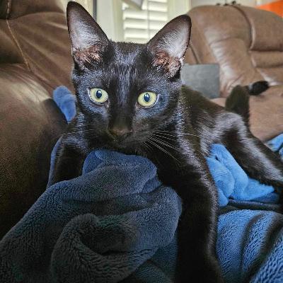 We're Back-Recap-Hello Fall