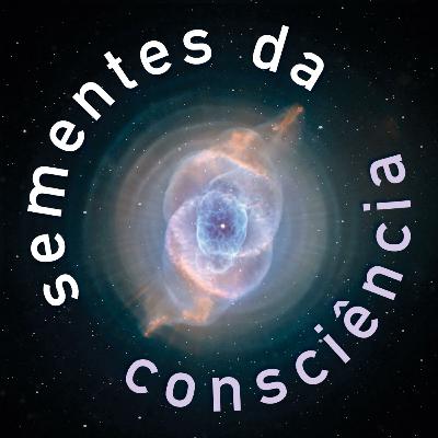 [Somente a prática] Episódio 7