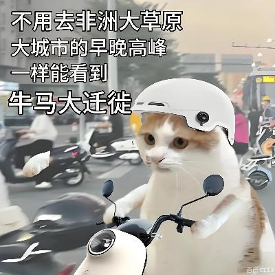 大城市果然机会多啊