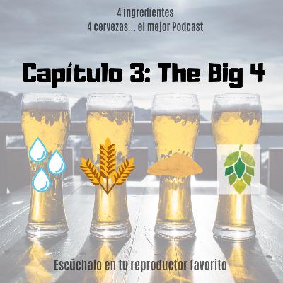 Capítulo 3: The Big 4 (ingredientes de la cerveza)