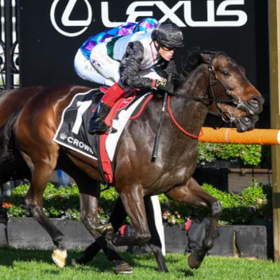 Punter's Preamble - 2025 Memsie Stakes Day