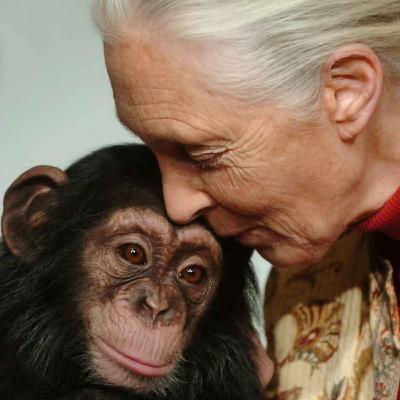 Dame Jane Goodall dies aged 91: "A great loss to the scientific world"