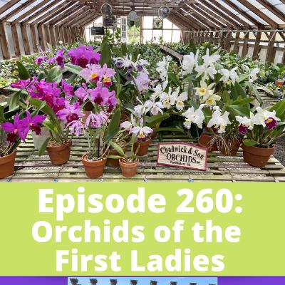 Orchids of the First Ladies Orchids of the First Ladies