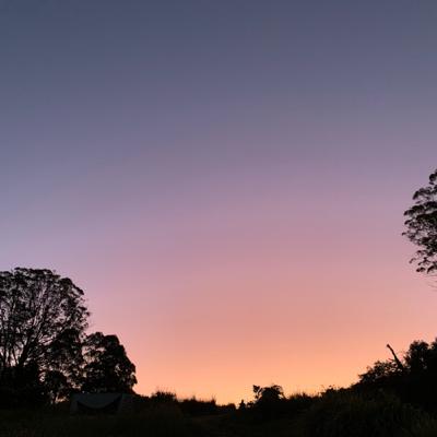 Still autumn dawning... with a chill and birdsong awakes