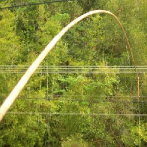 竹竿的一头是家乡 竹竿的一头是家乡