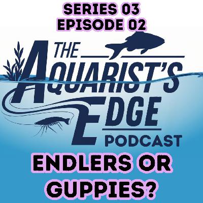 Endlers vs Guppies Explained: Species Differences, Genetics, Tank Setup & Breeding Success Endlers vs Guppies Explained: Species Differences, Genetics, Tank Setup & Breeding Success