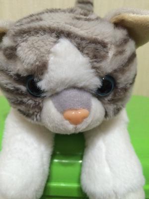 8尺様⓵   from Radiotalk