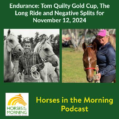 Endurance:  Tom Quilty Gold Cup, The Long Ride and - HORSES IN THE MORNING