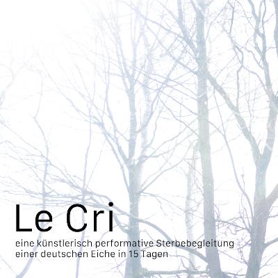 Folge 16: Leben wie eine Baumscheibe Folge 16: Leben wie eine Baumscheibe