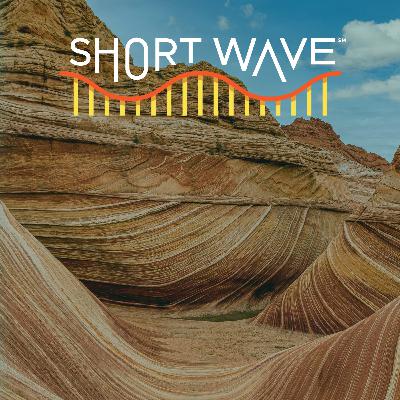 The Secrets Everyday Rocks Keep