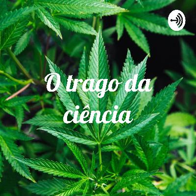 O Trago da Ciência - Maconha O Trago da Ciência - Maconha