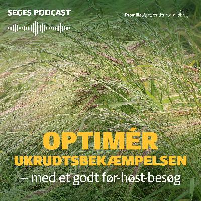 Din Mark Lige Nu: Det gode før høst-besøg i et tørt år Din Mark Lige Nu: Det gode før høst-besøg i et tørt år