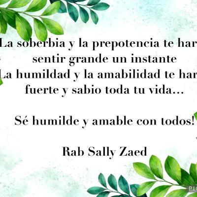 RAB SALLY ZAED- MANTENTE PROTEGIDO CON ESTO