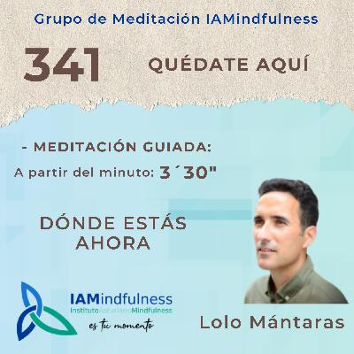 S341 QUÉDATE AQUÍ - DÓNDE ESTÁS AHORA