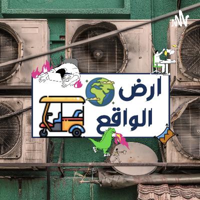 أرض الواقع ٣ - الحب