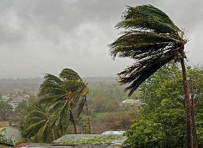 🎙️Ouragan Melissa en Haïti : l’action anticipatoire aurait permis d’atténuer les dégâts