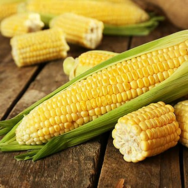 🌽ذرت